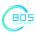 Portrait de BDS Energy